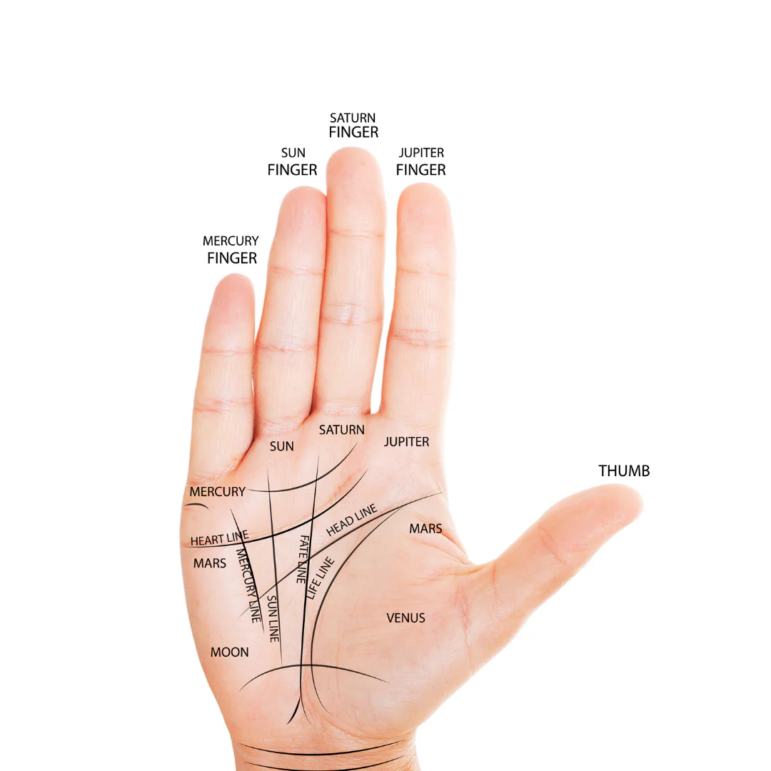 Hand Analysis Chart